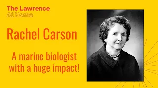 The Story of: Rachel Carson | Stories in STEAM | Storytime!