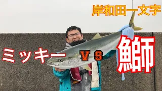 岸和田一文字で決戦！！ ミッキー vs ブリ