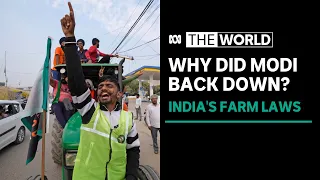 Why Indian PM's backflip on farming laws seems "very uncharacteristic" of him | The World