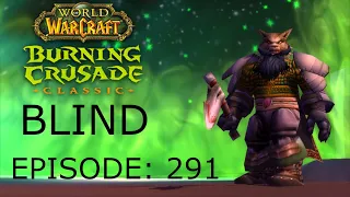 The Bugs Are Bugging | WoW TBC Classic BLIND #291