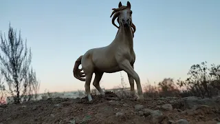 Летние 💐и осенние🍂 фотографии.✨лошади breyer/клип breyer/брейер