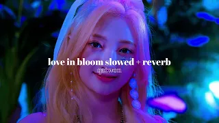 love in  bloom - ily:1 » slowed + reverb
