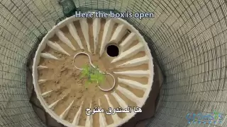 (Arabic subtitles) Results of reforestation experiment in Dubai Desert with Groasis Technology