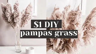 Easy DIY String Pampas Grass from Dollar Tree Materials!