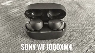 Наушники Sony WF-1000XM4. Металлический звон в правом ухе? Честный обзор и мои впечатления.