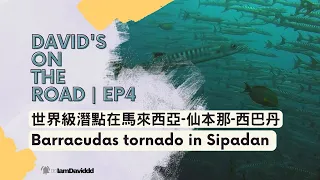 【David’s on the road｜EP4】世界級潛點在馬來西亞-仙本那-西巴丹/Barracudas tornado in Sipadan