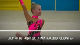 Спортивные грации выступили на «сцене» «Дельфина»