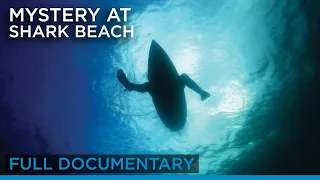 Mystery at Shark Beach (full documentary) | Earth Touch TV