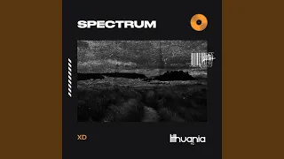 Spectrum (Say My Name)