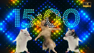 15 Minutes 4K Animal Dance Party with Party Dance Mix 🤘🎵