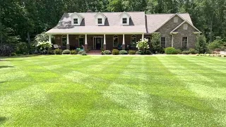 Lawn Stripes // Zoysia Grass Seed // Will Zenith Zoysia Stripe