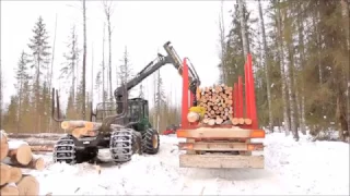 Лесовоз MEGA на делянке в Вологодской области. Timber truck  in the Vologda region, Russia