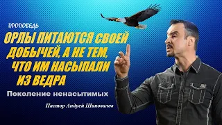 ОРЛЫ ПИТАЮТСЯ ДОБЫЧЕЙ, А НЕ ТЕМ, ЧТО ИМ НАСЫПАЛИ ИЗ ВЕДРА. Проповедь. Пастор Андрей Шаповалов.