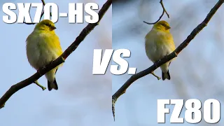 Canon SX70-HS vs. Panasonic FZ80 4K Video Quality Comparison