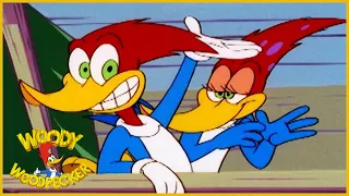 Woody Woodpecker Show | Woody Watcher | 1 Hour Compilation | Cartoons For Children