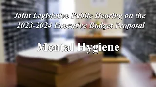 Mental Hygiene - New York State Budget Public Hearing