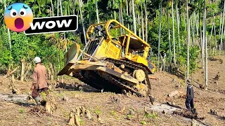 The Amazing Operator Skills CAT D6R XL Dozer Clean and Widening Plantation