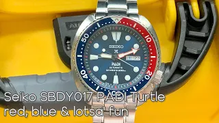 Seiko Padi Turtle SBDY017 Review - is it worth the premium over a regular Turtle?