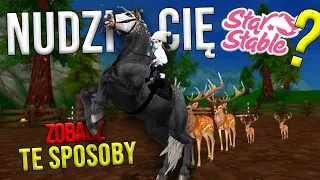 NUDZI CI SIĘ STAR STABLE? 10 POMYSŁÓW NA ROZGRYWKĘ W SSO