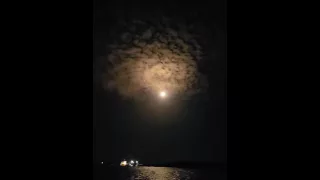 SpaceX Falcon 9 July 18th, 2016 Rocket Launch