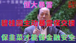 恒大暴雷之碧桂园似乎主动暴雷来保交楼||保住韭菜才能保金融安全||躺平叔聊房市