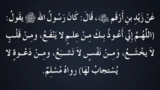 شرح حديث اللهم إني أعوذ بك من علم لا ينفع - الشيخ د. محمد بن هادي المدخلي