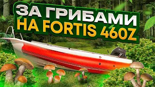 за грибами на Fortis 460z