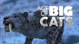 Age of Big Cats | Smilodon | Megantereon | Pleistocene