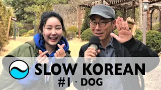 Slow Korean Conversation - #1 Dog