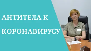 Антитела к коронавирусу