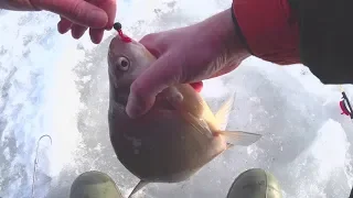 Поиск ЛЕЩА при помощи ЭХОЛОТА Зимняя рыбалка Ловля подлещика на удочку с мормышкой