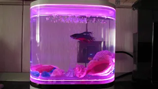 Xiaomi HF-JHYG005 Geometry Mini Lazy Fish Tank USB Charging Self-cleaning Aquarium