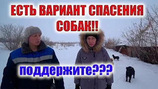 ХОРОШИЙ ШАНС ДЛЯ РЕШЕНИЯ ВСЕХ ПРОБЛЕМ!!! НУЖНО ВАШЕ МНЕНИЕ!!!