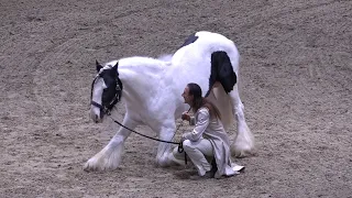 FREDERIC PIGNON & MAGALI DELGADO live --- EQUITANA --- März 2023