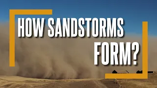 How Sandstorms Form (Driving Through One) | How&Why