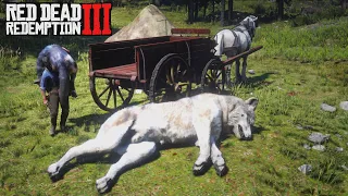 DÉTENTE CHASSE XXL ! RED DEAD REDEMPTION 2