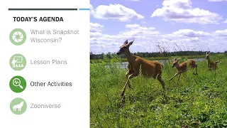 STEM Resources with WI DNR Webinar (2024)