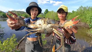 Brave Two Women Catch Giant Mud Crabs at Swamp after Water Low Tide