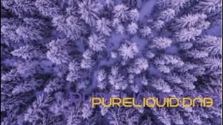 Liquid Drum And Bass Mix (Pure Liquid) No:187