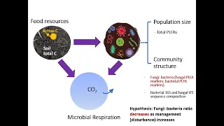 DSP4SH - Quantifying Soil Microbial Structures and Functions for Soil Health Assessments