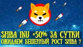 Shiba inu криптовалюта прогноз цены. Шиба ину +50% за 1 день