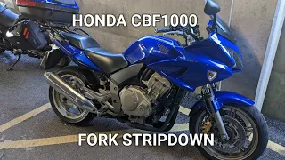 Honda CBF1000.  Forks strip down.