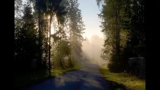 Beautiful Estonia: fog and mist