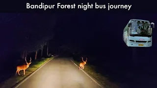 KSRTC AIRAVAT B9R bus journey through Bandipur Forest