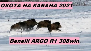 ОХОТА НА КАБАНА 2021, МАТЕРЫЙ КАБАН. КАРАБИН BENELLI ARGO R1 308WIN. BENELLI ARGO  2011г.выпуска