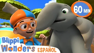 Jugando con la Elefante Tembo | Blippi Wonders| Caricaturas para niños | Dibujos Animados Educativos