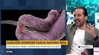 Sağlık Raporu - DNA ve DNA Hasarı (Korkut Ulucan)