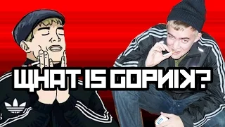 What is Gopnik?