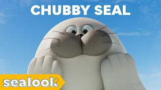 Big-Hearted Seal🦭 | Chubby Seal #006 Compilation | SEALOOK