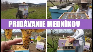 Včely: Pridávanie medníku a materskej mriežky 22.04.2021 (viac v popise)